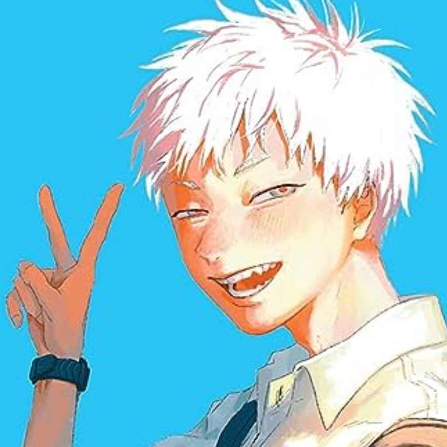 The Summer Hikaru Died